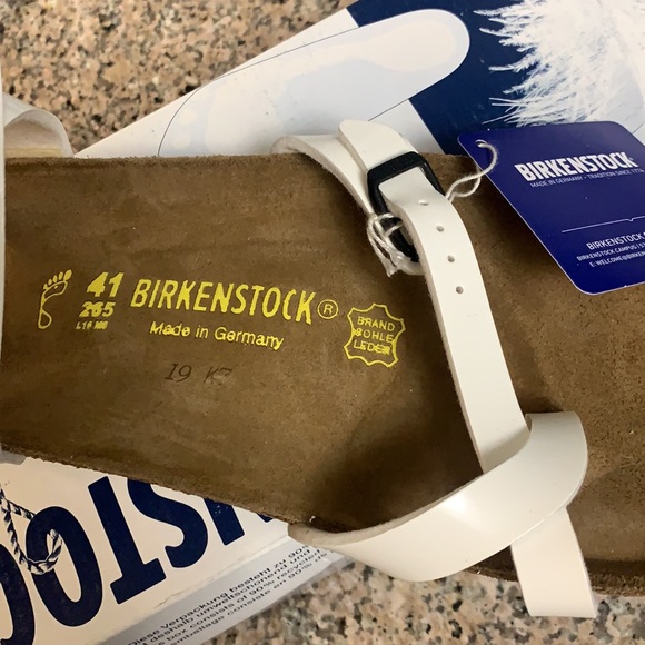 Birken - Picture 2 of 10